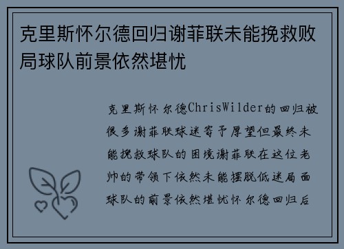 克里斯怀尔德回归谢菲联未能挽救败局球队前景依然堪忧 克里斯怀尔德回归谢菲联未能挽救败局球队前景依然堪忧
