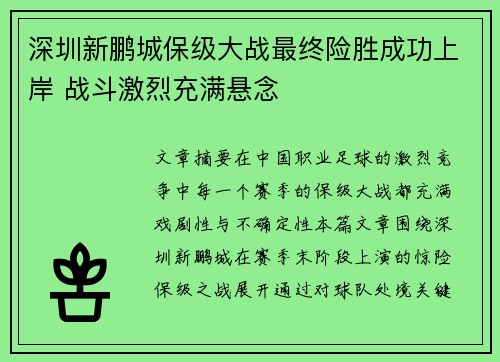 深圳新鹏城保级大战最终险胜成功上岸 战斗激烈充满悬念 深圳新鹏城保级大战最终险胜成功上岸 战斗激烈充满悬念