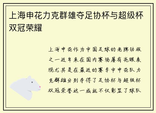 上海申花力克群雄夺足协杯与超级杯双冠荣耀